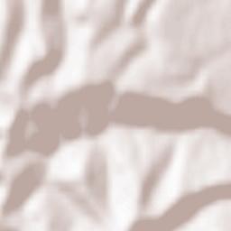 Villalfonsina Terrain Map