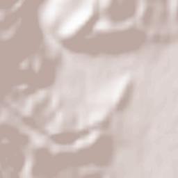 Boboshevo Terrain Map