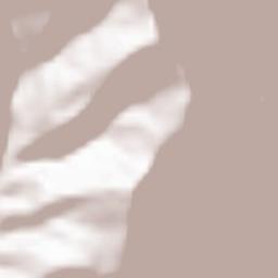 Obshtina Rila Terrain Map