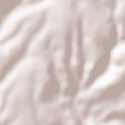 Vizcaínos Terrain Map