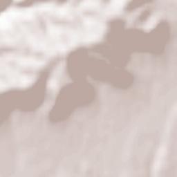 Salas Bajas Terrain Map