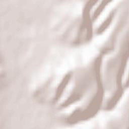 Obshtina Kocherinovo Terrain Map