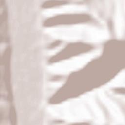 Akhalgori Terrain Map