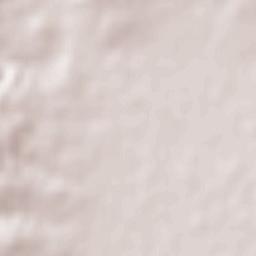 Rairiz de Veiga Terrain Map