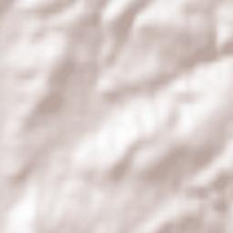 Jaramillo Quemado Terrain Map