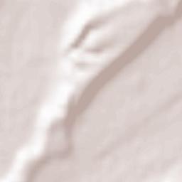 Kocherinovo Terrain Map