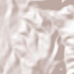 Shorapani Terrain Map