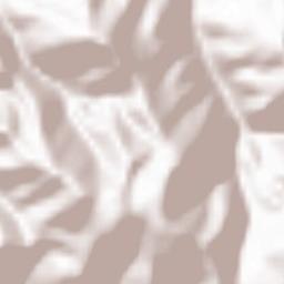 Bashkia Vau i Dejës Terrain Map