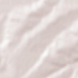 Obshtina Parvomay Terrain Map