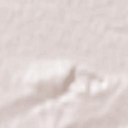 Dimitrovgrad Terrain Map