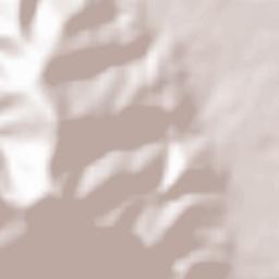 Prunelli-di-Fiumorbo Terrain Map