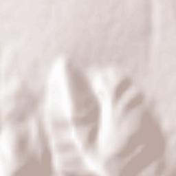 Introdacqua Terrain Map