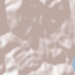 Makedonska Kamenica Terrain Map