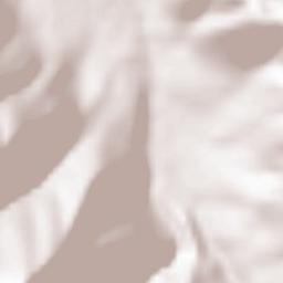 Pettorano sul Gizio Terrain Map