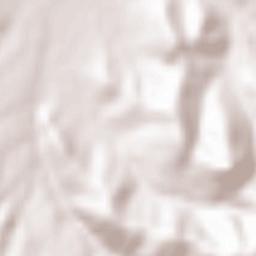 Obshtina Rakitovo Terrain Map