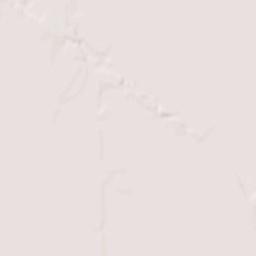 Irving Park Terrain Map