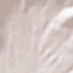 Arévalo de la Sierra Terrain Map