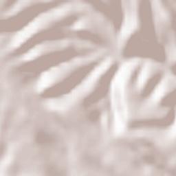 Fuentes de Magaña Terrain Map