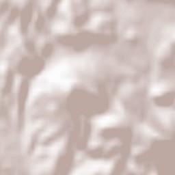 Camporrells Terrain Map