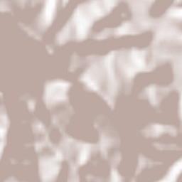 Canterano Terrain Map