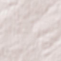 Palazuelo de Vedija Terrain Map