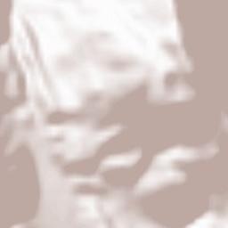 Rocca Pia Terrain Map