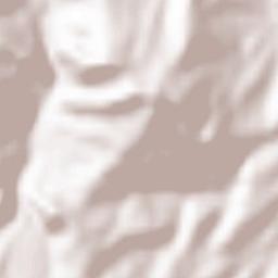 San Felice del Molise Terrain Map