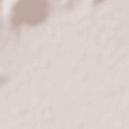 Češinovo Terrain Map