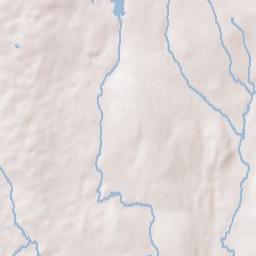 Foster Terrain Map