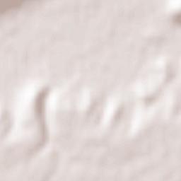 Valdenebro de los Valles Terrain Map