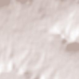 Cevico de la Torre Terrain Map