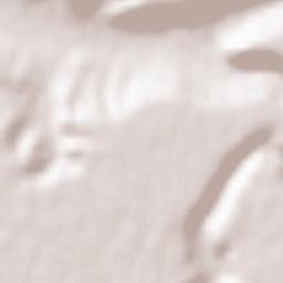 Cevico Navero Terrain Map