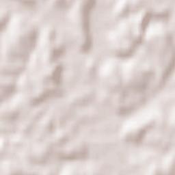 Ponte Galeria-La Pisana Terrain Map