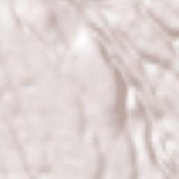 Zagarolo Terrain Map