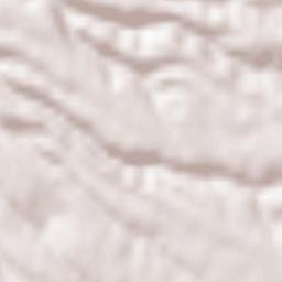 Gallicano nel Lazio Terrain Map