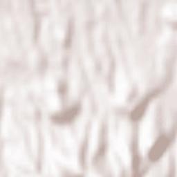 Montecompatri Terrain Map