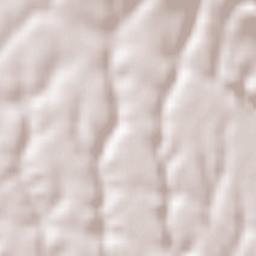 Palestrina Terrain Map