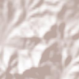 La Forma Terrain Map