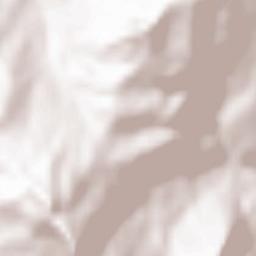 Capracotta Terrain Map