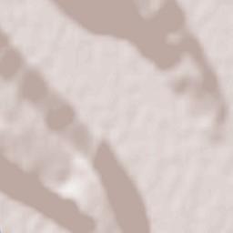 Bashkia Lezhë Terrain Map