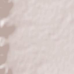 Vrapčište Terrain Map