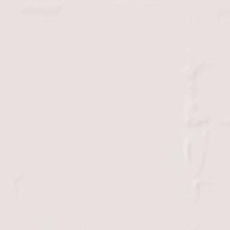 Gage Park Terrain Map