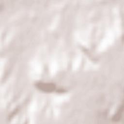 Población de Cerrato Terrain Map