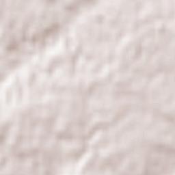 Tubilla del Lago Terrain Map