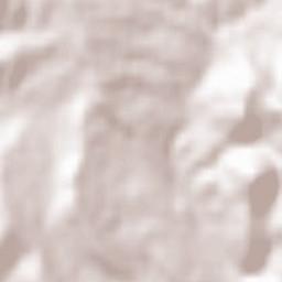 Muriel Viejo Terrain Map