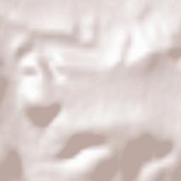 Cabrejas del Pinar Terrain Map