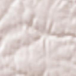 Colle Spina Terrain Map