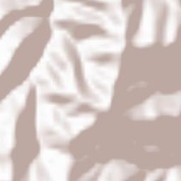 Obshtina Chepelare Terrain Map