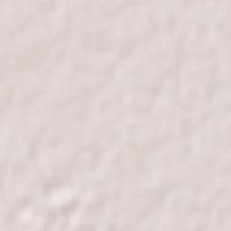 Castel Fusano Terrain Map