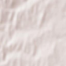 Leninskoye Terrain Map